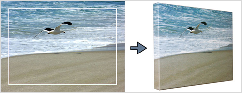 4-large.jpg