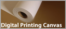 Digital Printing Canvas Banner